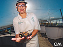 Projekt zur Wiederansiedlung der unechten Karretschildkröte im Hafen von Morro Jable