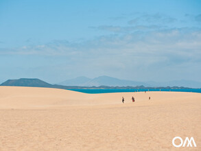 die Dünen im Norden von Fuerteventura