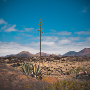 Vulkankrater auf Fuerteventura