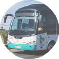 Lienenbus Fuerteventura